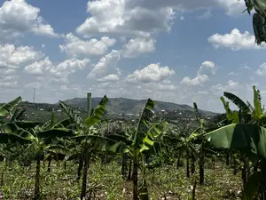 Residential Plots for Sale in Biharwe Mbarara