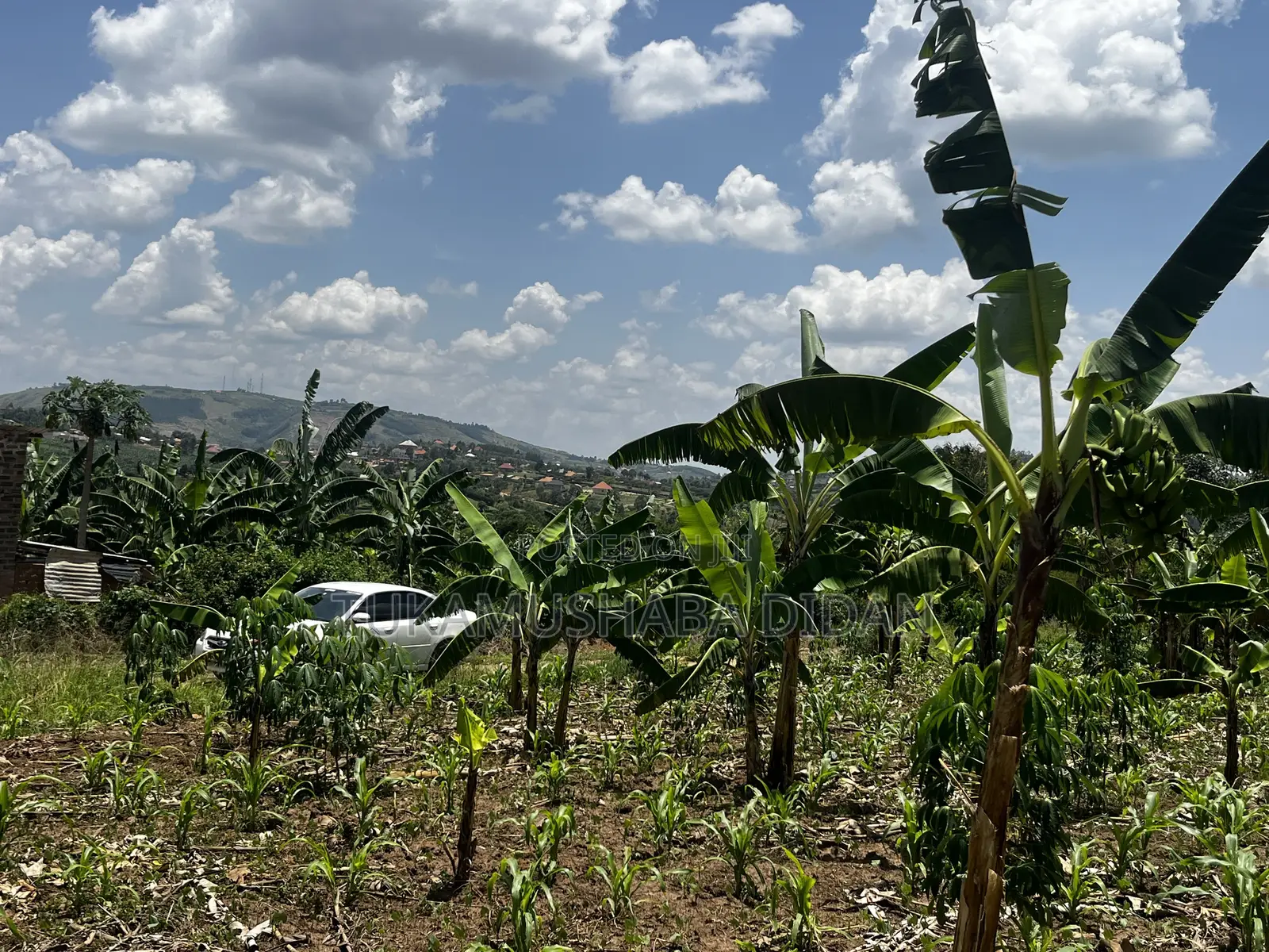 Residential Plots for Sale in Biharwe Mbarara