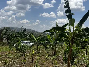 Residential Plots for Sale in Biharwe Mbarara