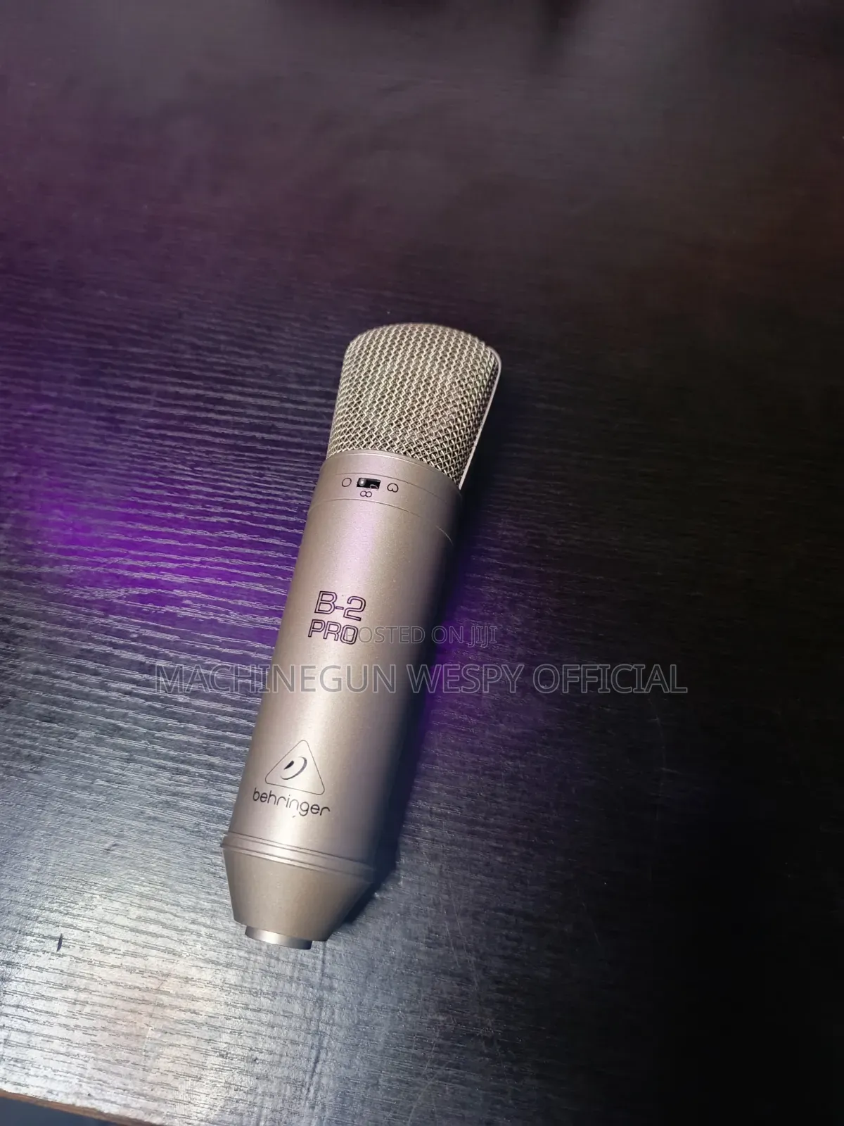Behringer B2 Pro Microphone