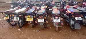 Bajaj CT 125X 2025 Red