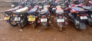 Bajaj CT 125X 2025 Red