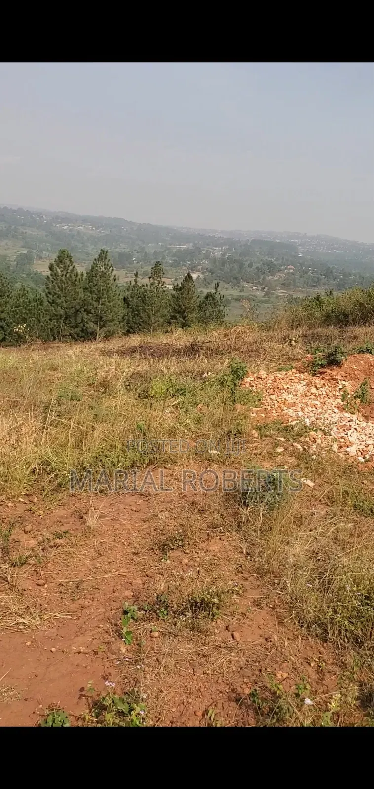 Titled Plot for Sale on the Ugachick Hill