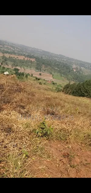 Titled Plot for Sale on the Ugachick Hill