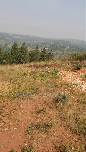 Titled Plot for Sale on the Ugachick Hill