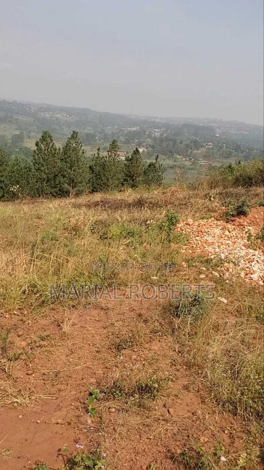 Titled Plot for Sale on the Ugachick Hill