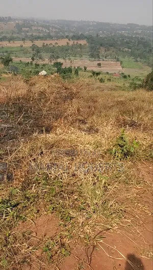 Titled Plot for Sale on the Ugachick Hill