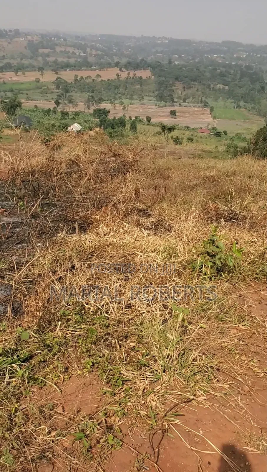 Titled Plot for Sale on the Ugachick Hill