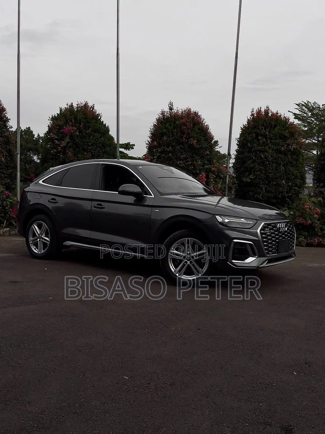 Audi Q5 2021 Gray