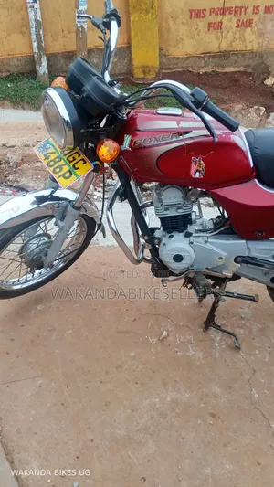 Bajaj CT 125X 2023 Red