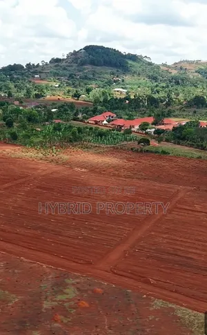 Prime Plots for Sale at Kasanje Kulya Show Estate~Nakawuka-Mpigi Rd X