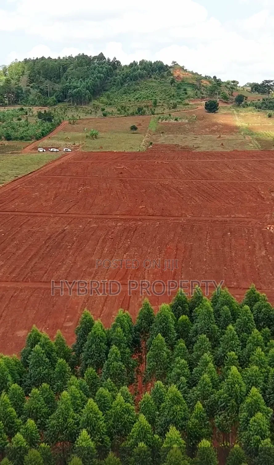Prime Plots for Sale at Kasanje Kulya Show Estate~Nakawuka-Mpigi Rd X
