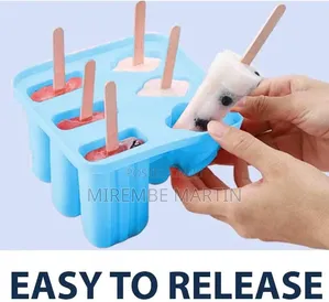 Silicone Ice Lolly Mould 6 Cavity – Silicone Popsicle Molds,BPA