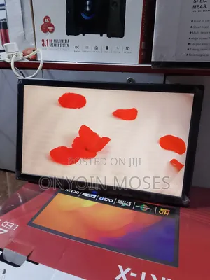 New Brand of 24 Inches Smart-X Digital Television