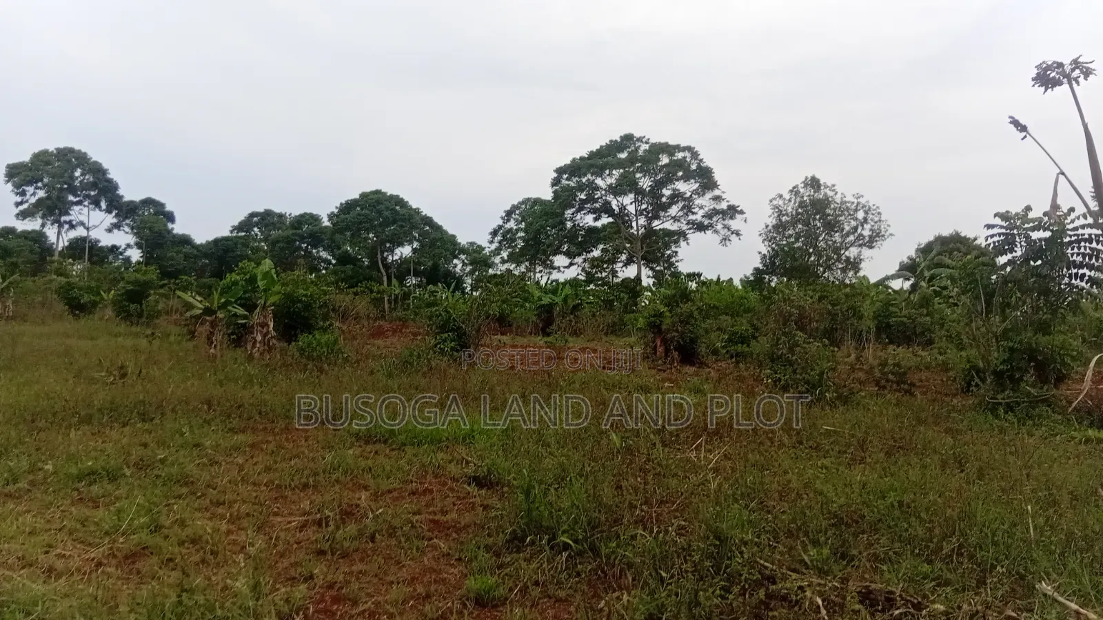 2 Acres of Prime Land, Wesunire, Makanga, Buyende Priced UGX 