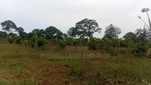 2 Acres of Prime Land, Wesunire, Makanga, Buyende Priced UGX 