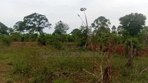 2 Acres of Prime Land, Wesunire, Makanga, Buyende Priced UGX 