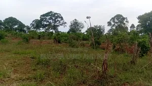 2 Acres of Prime Land, Wesunire, Makanga, Buyende Priced UGX 