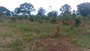 2 Acres of Prime Land, Wesunire, Makanga, Buyende Priced UGX 