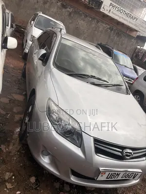 Toyota Corolla Fielder 2009 Silver