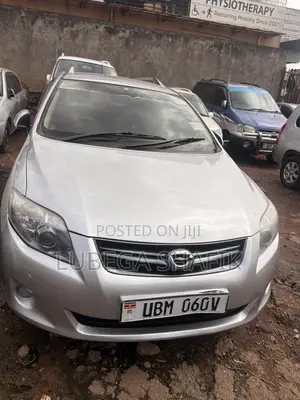 Toyota Corolla Fielder 2009 Silver