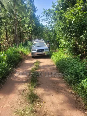 Subaru Forester 2006 Silver