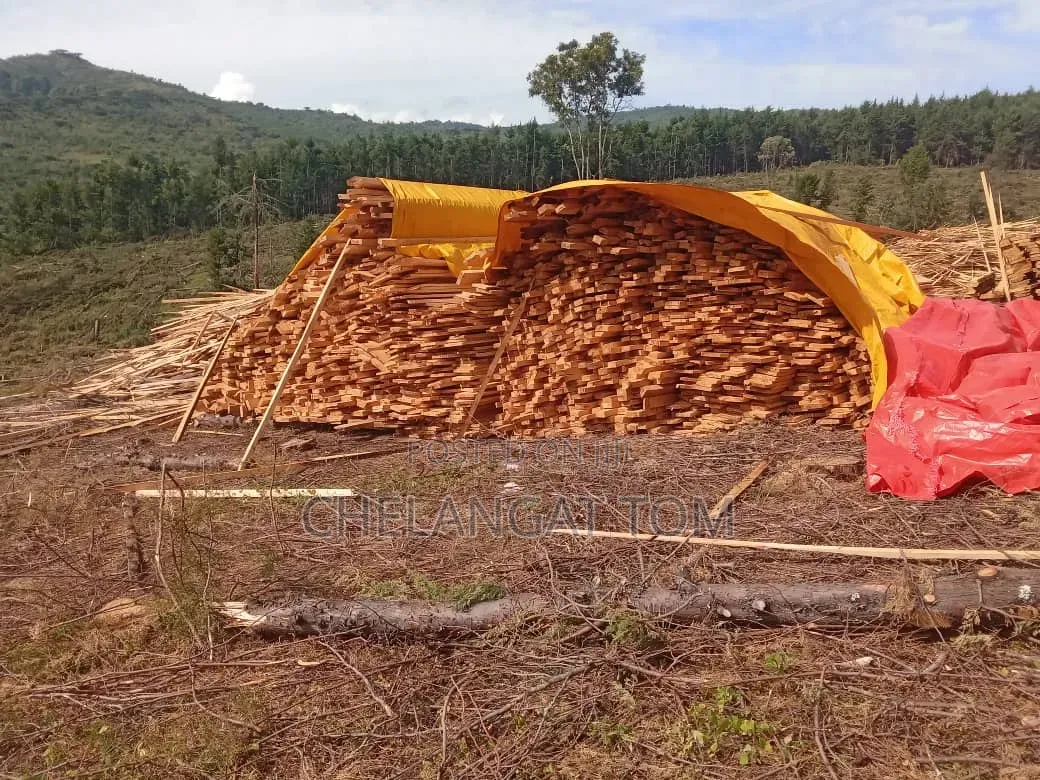 Cyprus Timber