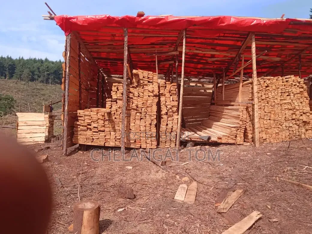 Cyprus Timber