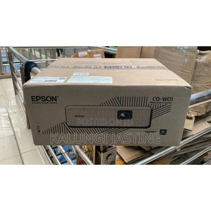 Epson Projector Co- Wo1