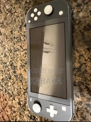 Nintendo Switch Lite (Grey)