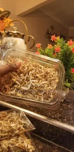 Dry Oyster Mushrooms