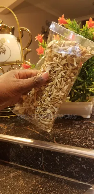 Dry Oyster Mushrooms