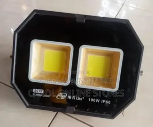 100 Watts Electric Flood Light