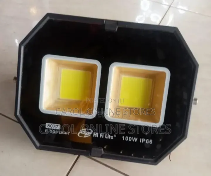 100 Watts Electric Flood Light