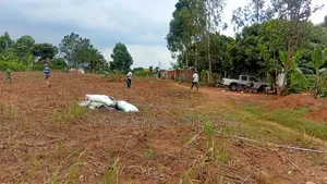 New Estate,50×100 Ft Plot Along Kafunta, Nyenga Highway, Njeru