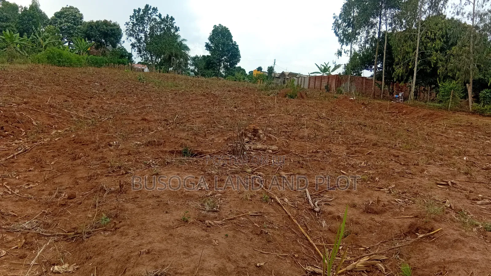 New Estate,50×100 Ft Plot Along Kafunta, Nyenga Highway, Njeru