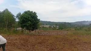 New Estate,50×100 Ft Plot Along Kafunta, Nyenga Highway, Njeru