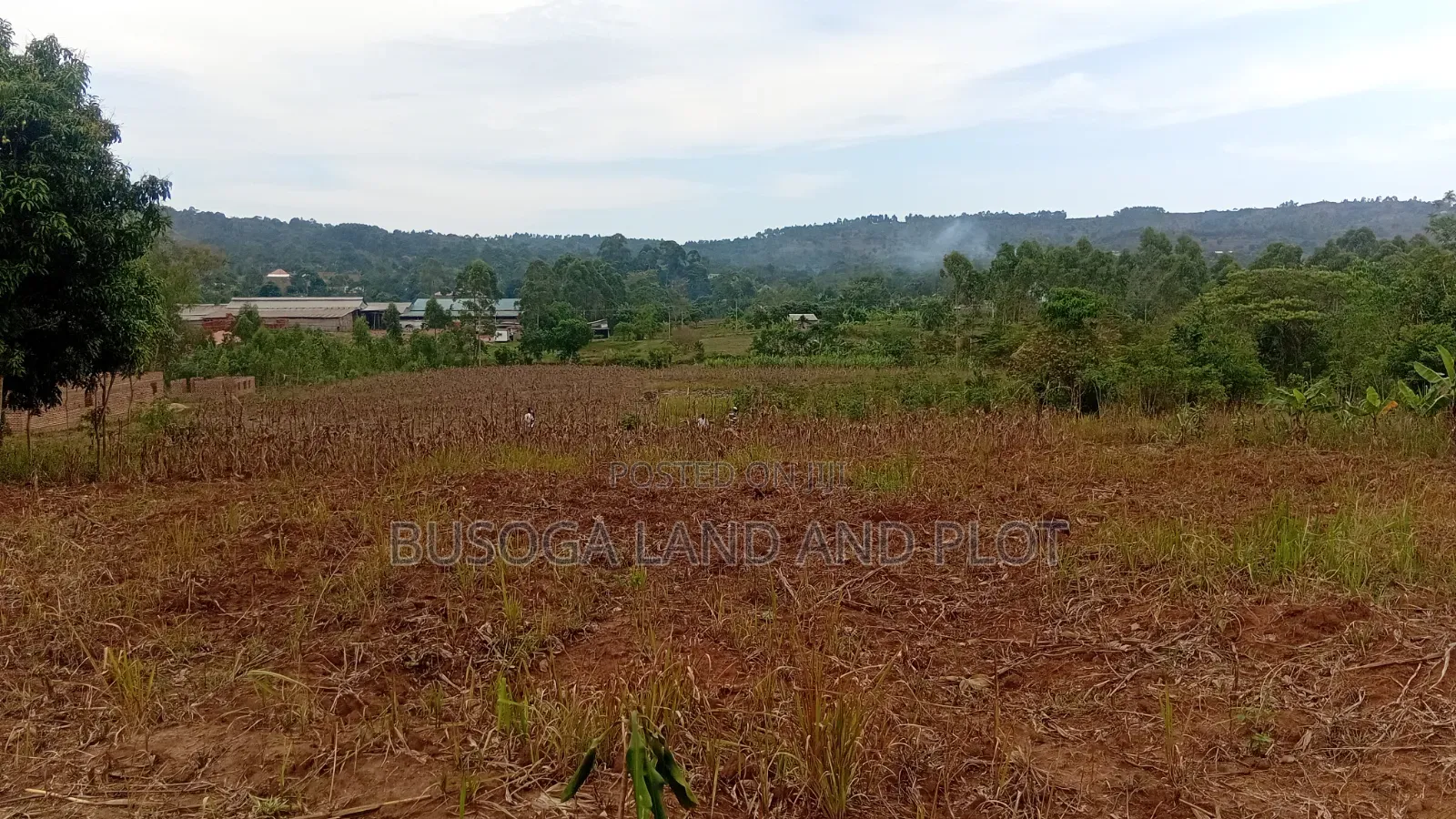 New Estate,50×100 Ft Plot Along Kafunta, Nyenga Highway, Njeru