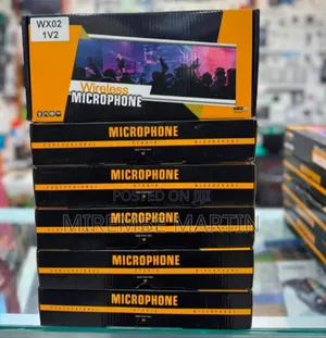 WX02 Double Wireless Microphone System