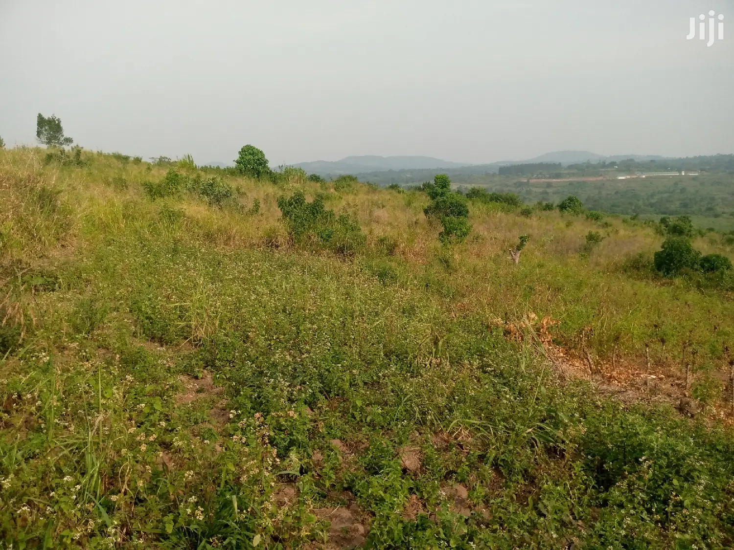 10 Acres of Land Near Kitalya Prison