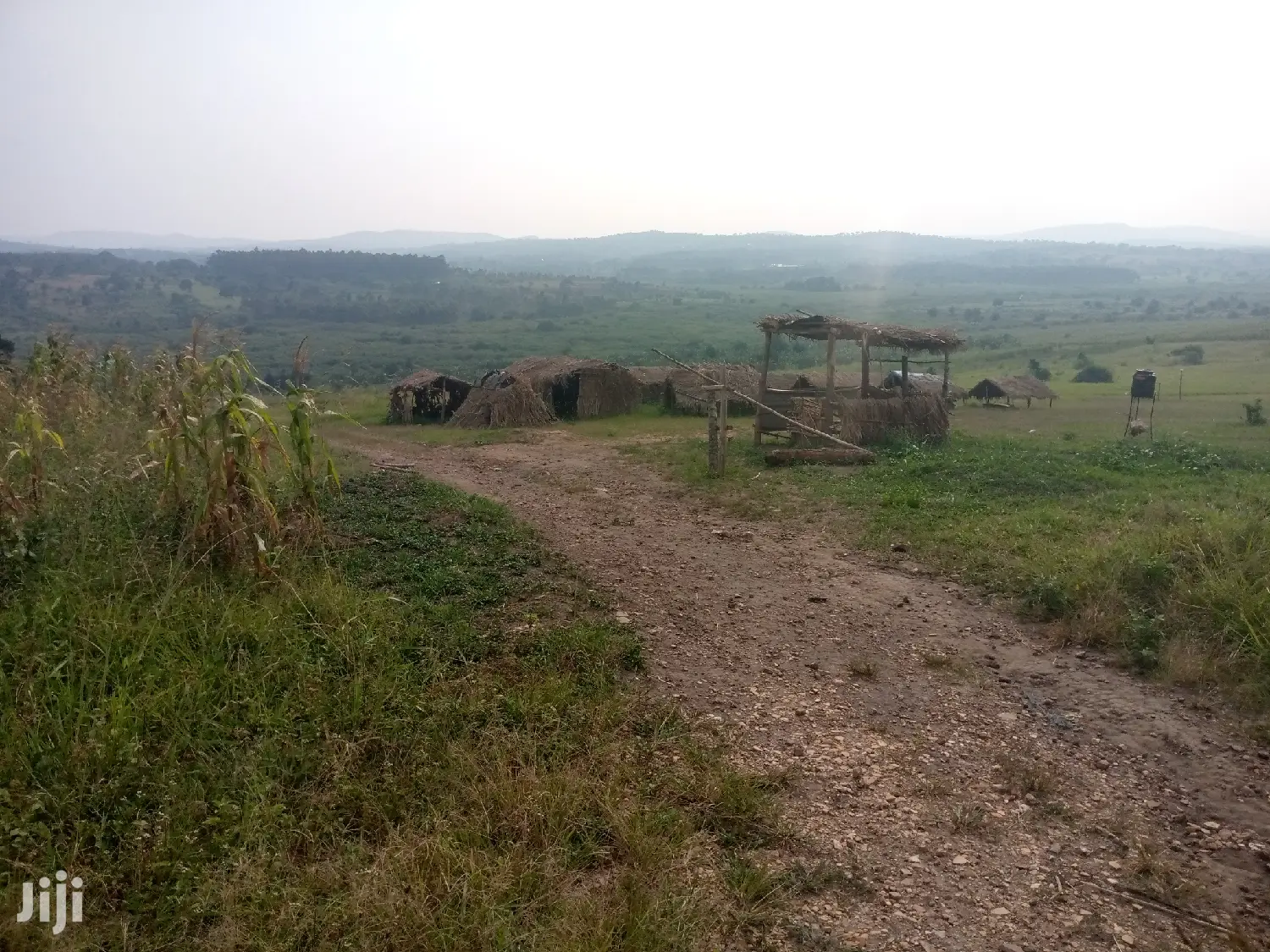 10 Acres of Land Near Kitalya Prison