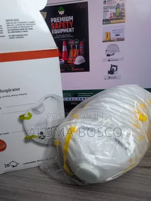 Particulate Respirator Mask (1 Box)