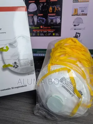 Particulate Respirator Mask (1 Box)