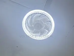 Multi Functional Fan Light