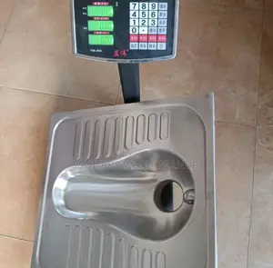 Stainless Squatting