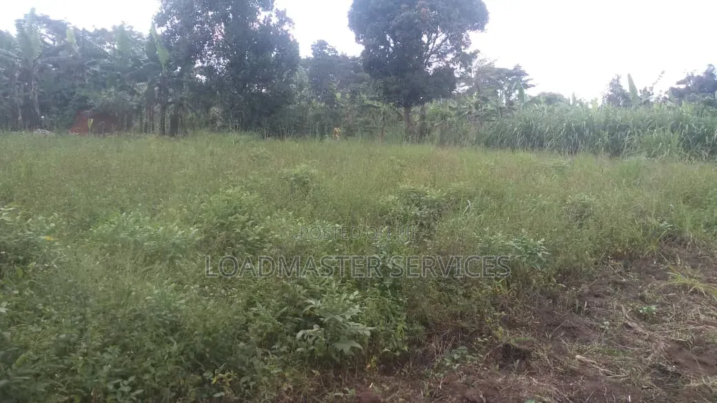 Titled Land for Sale
Off Semuto Road 30 Millons (Title on Table)
F