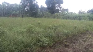 Titled Land for Sale
Off Semuto Road 30 Millons (Title on Table)
F