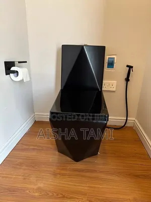 Black Diamond ,Or White Toilet