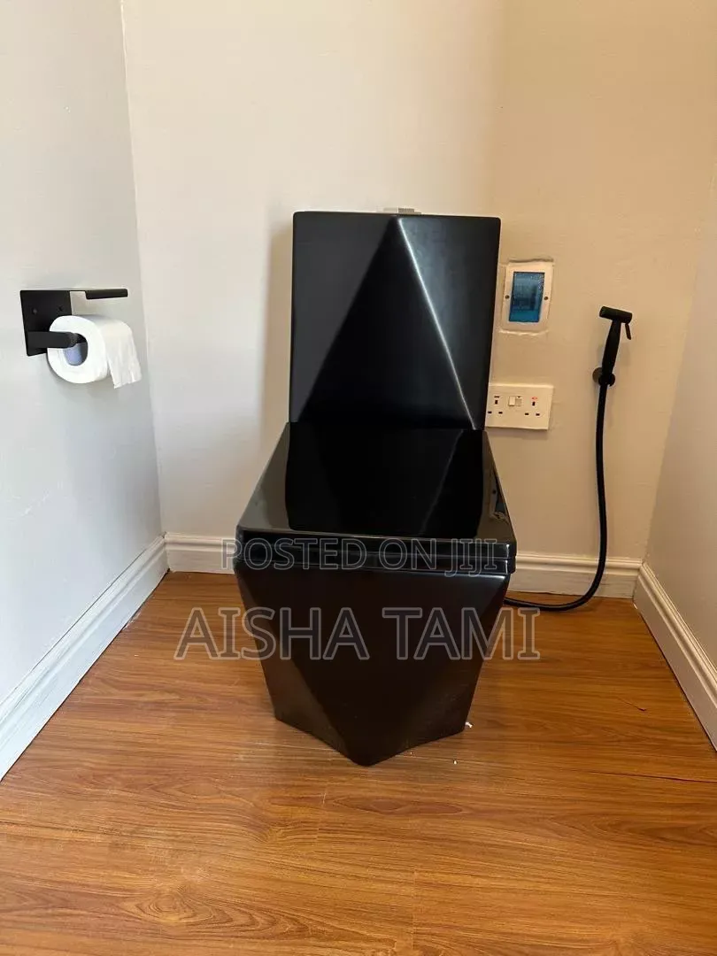 Black Diamond ,Or White Toilet
