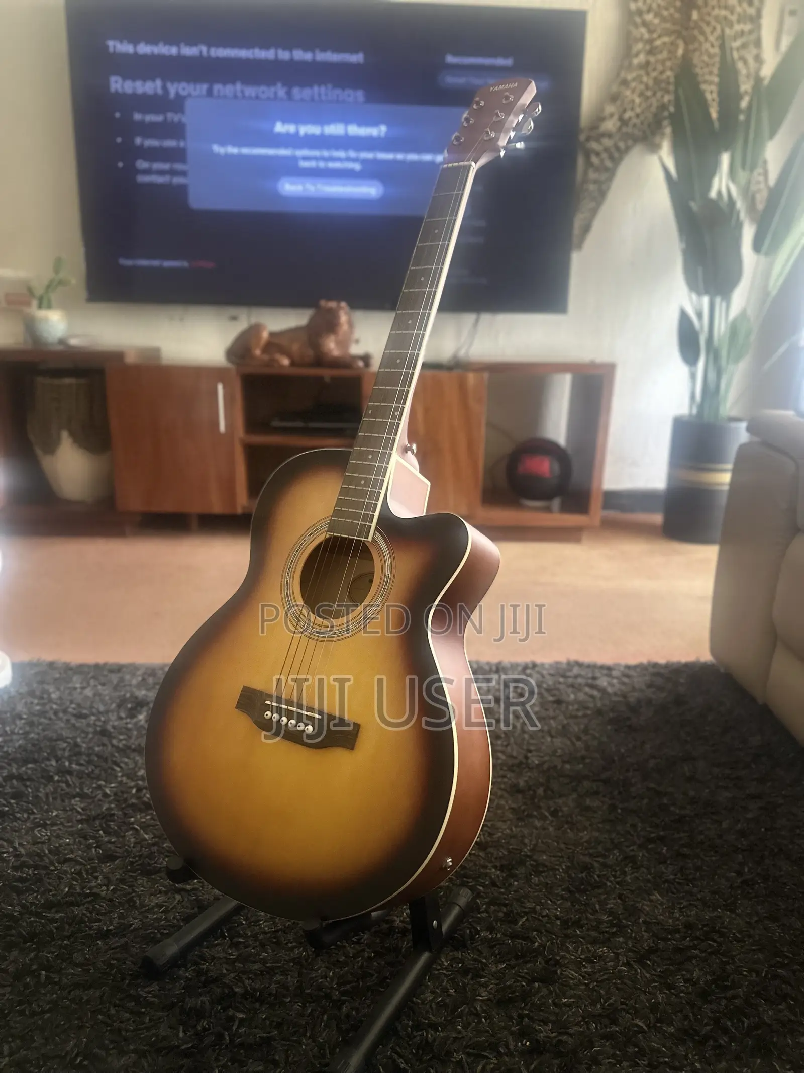 Electric Guitar